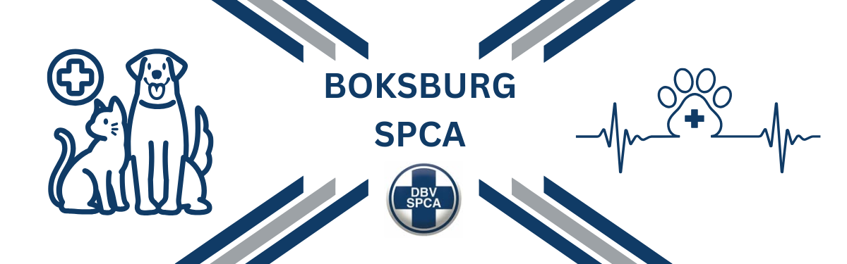 BOKSBURG SPCA More Info