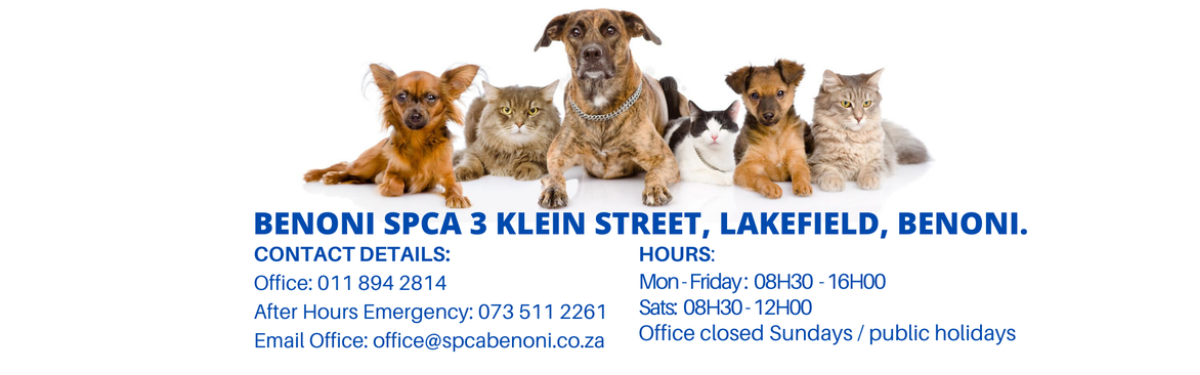 Benoni SPCA More Info
