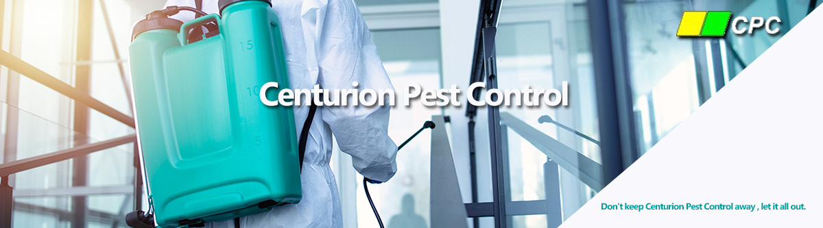 CenturionPest pretoria