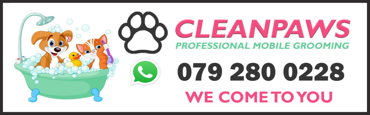 Clean Paws 1