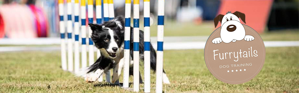 FurrytailsDogTraining PretoriaNewEast