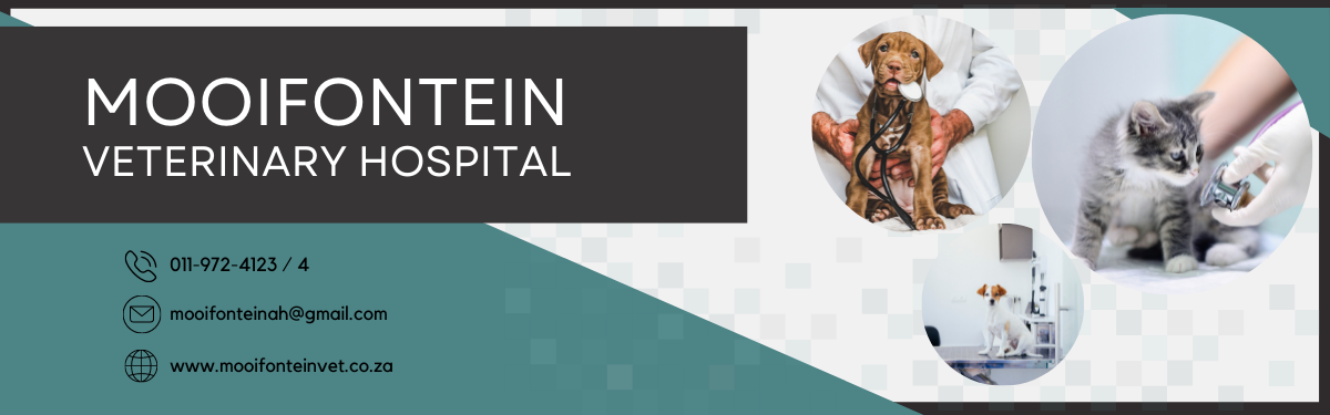 Mooifontein Veterinary Hospital