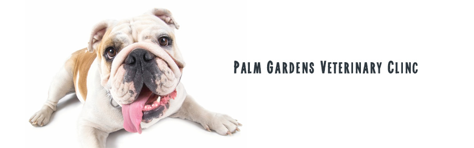 PalmGardensVeterinaryClinic Fourways