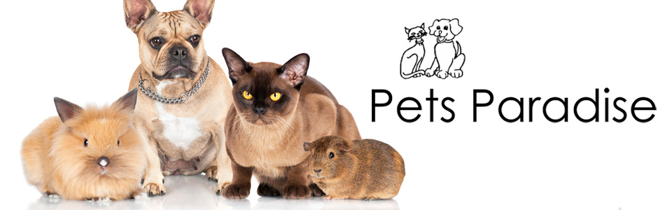 PetsParadise BenoniKemptonPark DogParlour