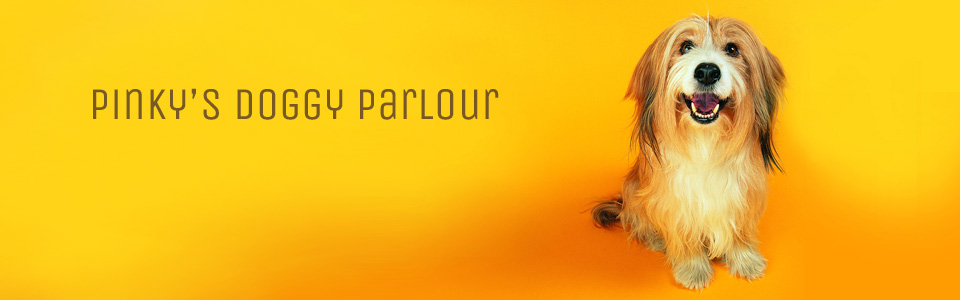 PinkysDoggyParlour Zambezi