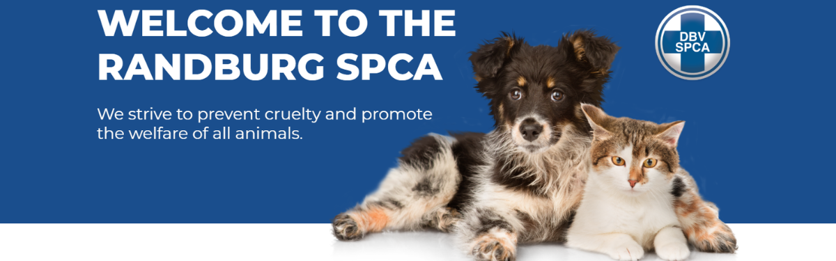 Randburg SPCA update