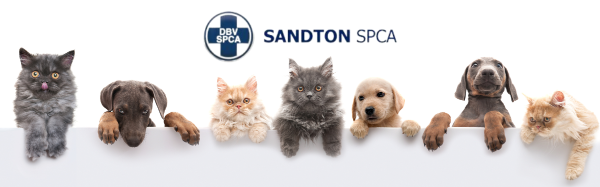 SANDTON SPCA 