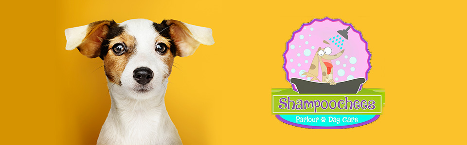 Shampoochees