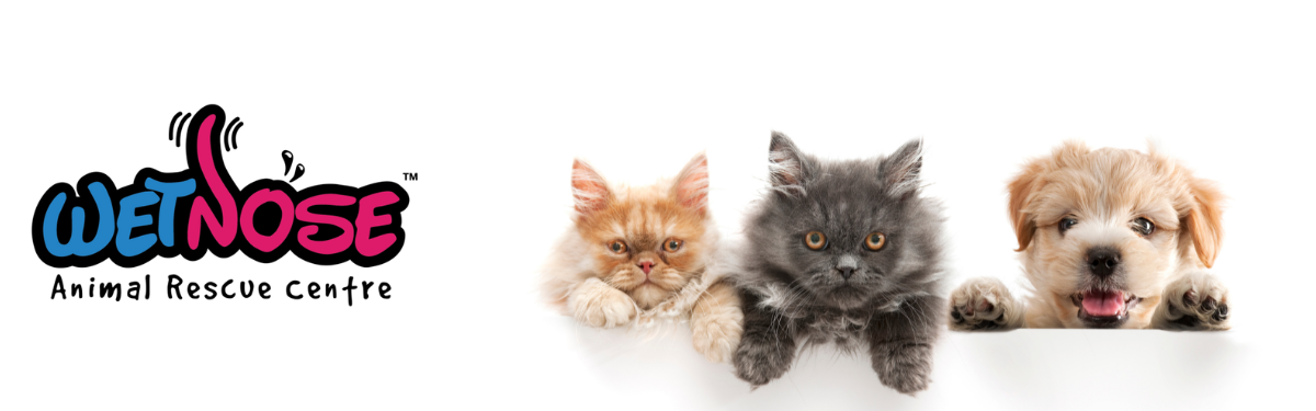 WETNOSE ANIMAL RESCUE CENTRE 