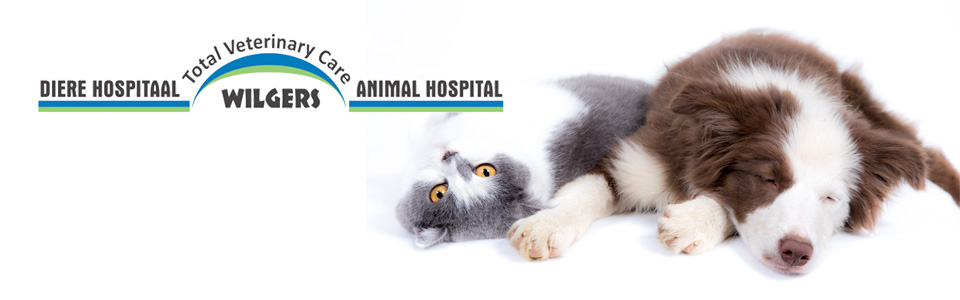 WilgersAnimalHospital Lynnwood VeterinaryClinic