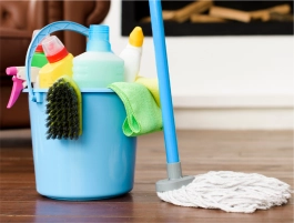 bucket mop