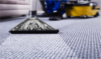 carpet cleaning pic home page 100