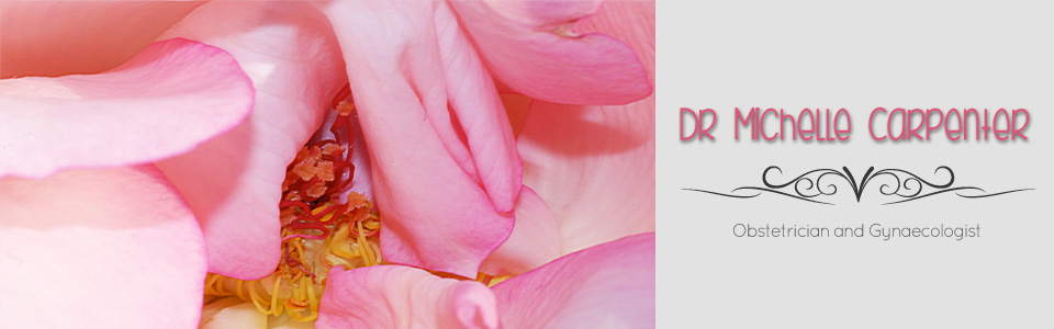 dr michelle carpenter gynaecologist pretoria east