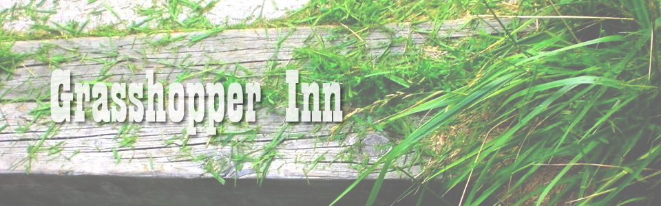 grasshopper inn lawnmower repairs randburg rosebank