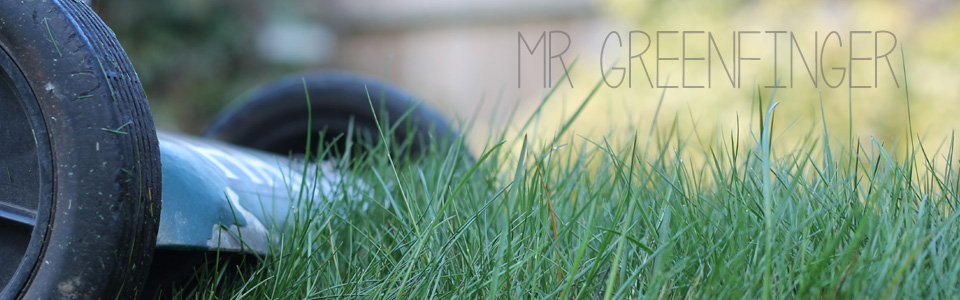 mr greenfinger lawnmower repairs fourways sandton rivonia