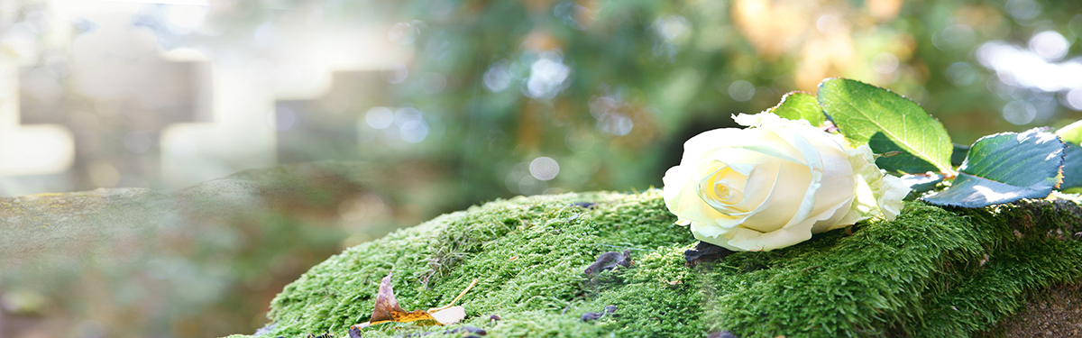shutterstock 1824472322 GNC Funeral Parlour 002