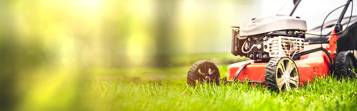 shutterstock 1945730635 North Lawnmowers